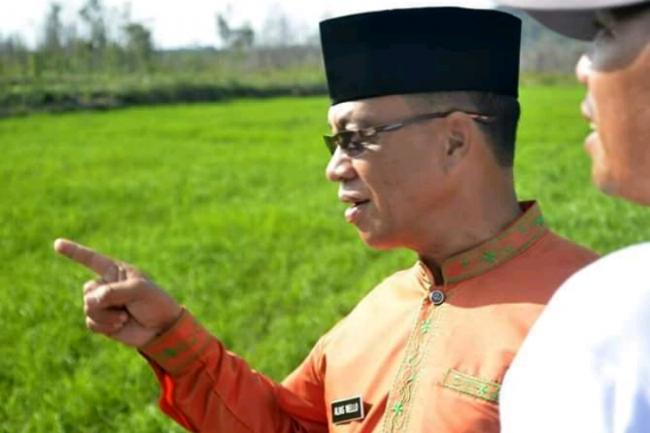 Alias Wello akan Berhentikan PTT dan THL Maju Caleg