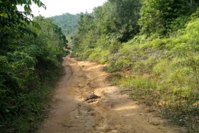 Dinas PU Bicara Soal Jalan Menuju Kantor Camat Selayar, Masuk Prioritas?
