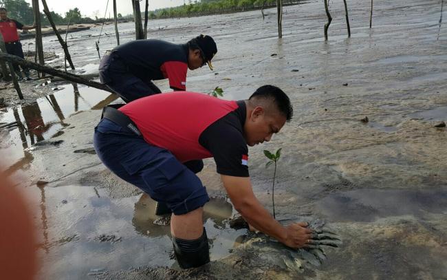 Peduli Lingkungan, DJBC Kepri Tanam 1.000 Pohon Mangrove