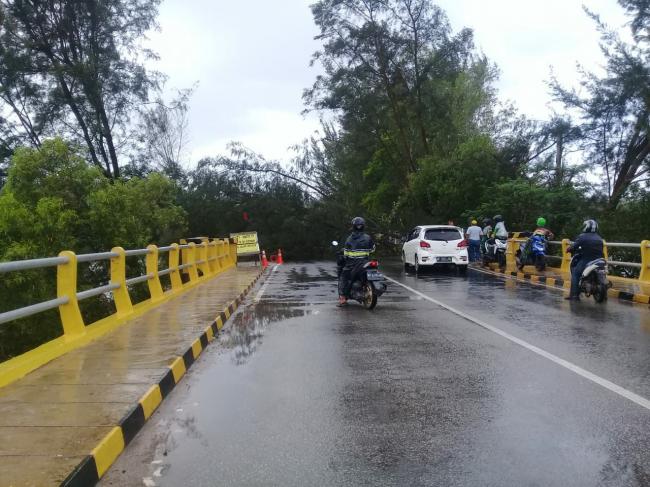 Pohon Tumbang Bikin Ruas Jalan di Jembatan Sei Ladi Terputus