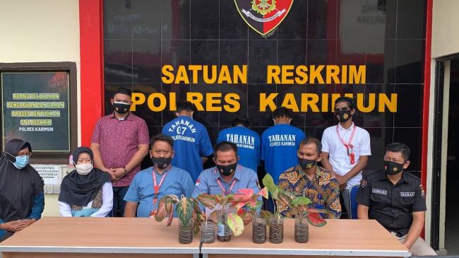 Tanaman Hias Jadi Incaran Maling di Karimun