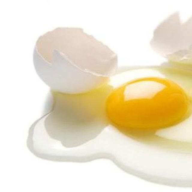 Mengenal Bahaya Konsumsi Telur Mentah untuk Kesehatan