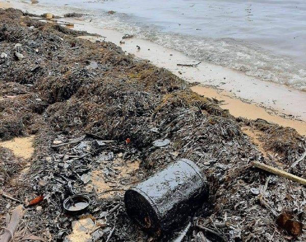 DLH Ungkap Asal Limbah Minyak Cemari Pesisir Batam