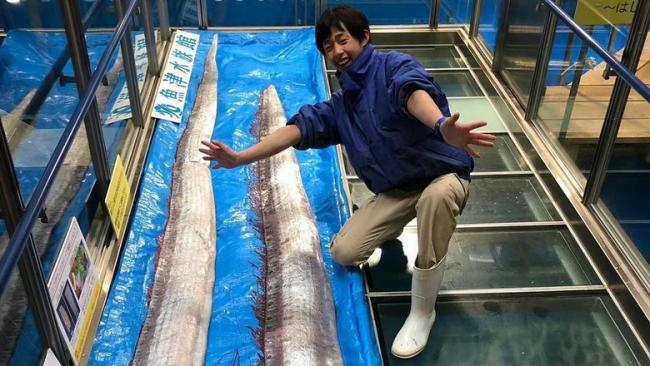 Tentang Oarfish yang Muncul dan Bikin Resah Jepang