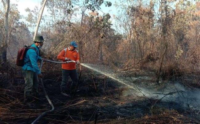 Damkar Butuh Sehari Lebih Padamkan Kebakaran Lahan Gambut di Meranti