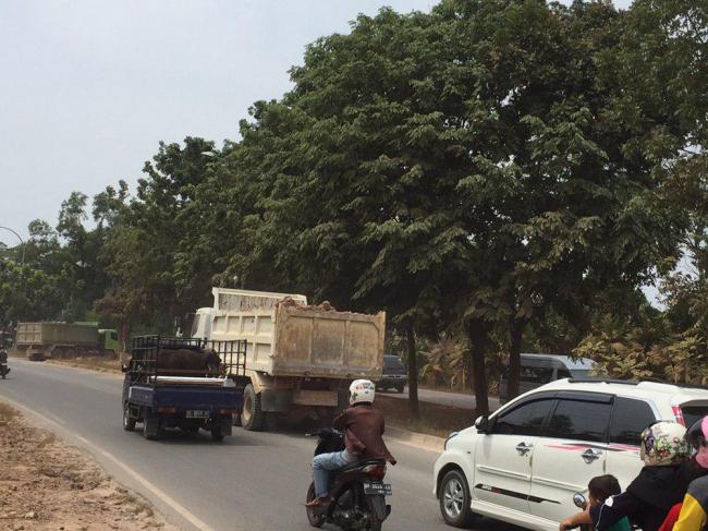 Pengguna Jalan Suprapto Batuaji Keluhkan Debu Truk Proyek