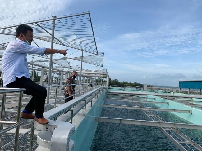Limbah Rumah Tangga di Batam Bakal Diolah Jadi Air Bersih, Rudi Cek WWTP Bengkong Laut
