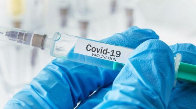 Vaksin Covid-19 Mengandung Babi, Dewan Fatwa UEA: Boleh untuk Muslim!