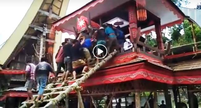 Video:  Pria Tewas Tertimpa Peti Mati saat Gotong Jenazah Ibunya