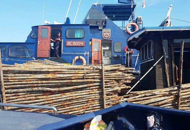 Petugas DJBC Kepri Gagalkan Upaya Penyelundupan Kayu Teki ke Singapura