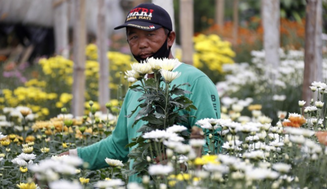 Gegara Jual Online, Bisnis Bunga Makin Segar hingga Untung Rp 70 Juta
