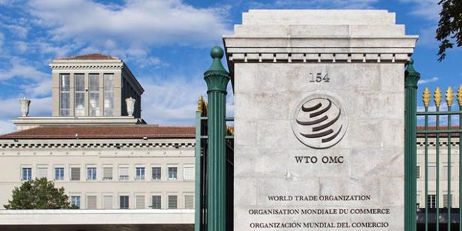 Indonesia Gugat Uni Eropa ke WTO Soal Diskriminasi Kelapa Sawit