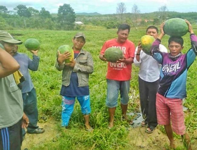 Dalmasri Dukung Masyarakat Bintan Bertani Dongkrak Perekonomian Daerah