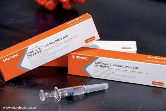 Pemerintah Jamin Sinovac Aman Meski Belum Disertifikasi WHO