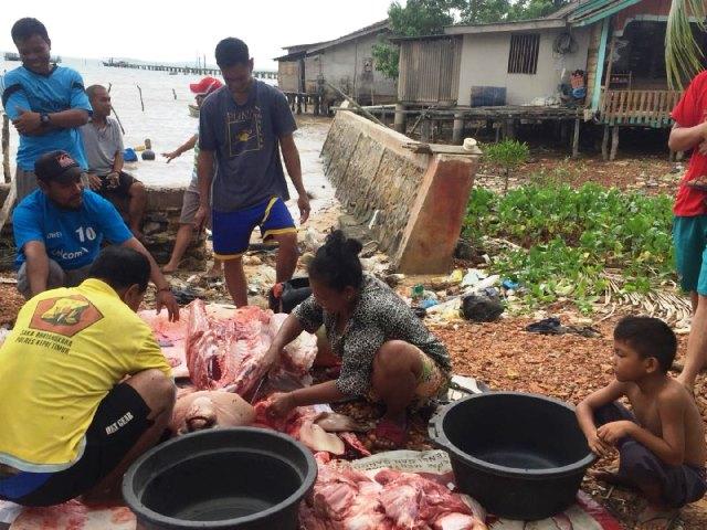 Ikan Dugong Tersangkut Jaring Nelayan Berakhir di Meja Makan