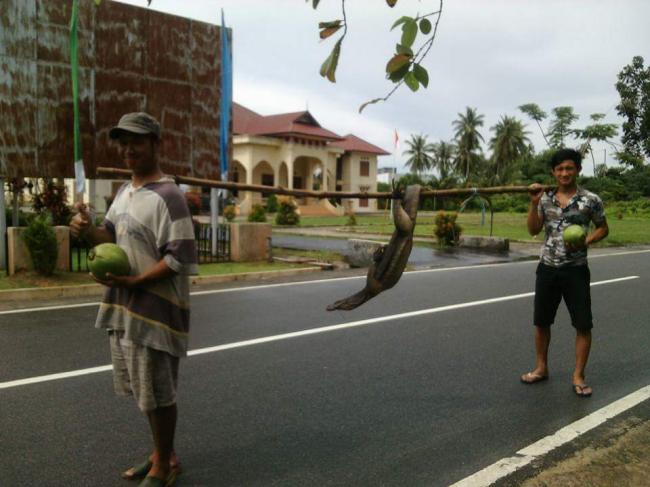 Nasib Nelayan Vietnam di Natuna: Tak Ada Lauk, Biawak pun Jadi