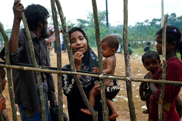 Surat Terbuka Dosen Aceh untuk Presiden Jokowi Soal Muslim Rohingya