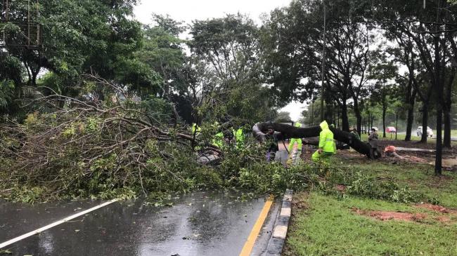 Pohon Tumbang Tutup Akses Jalan Sudirman Depan Sukajadi