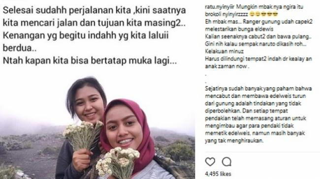 Sembarangan Petik Edelweiss, Gadis ini Dikecam