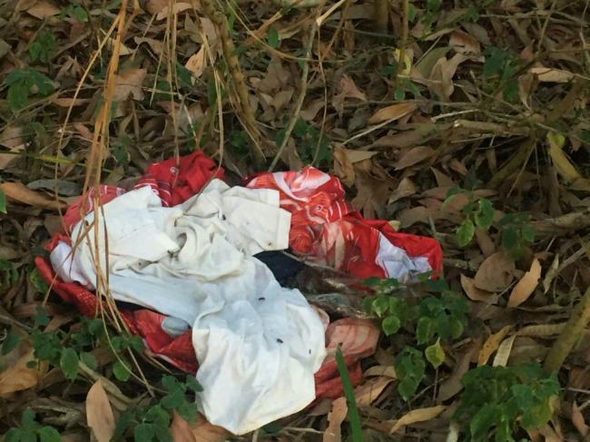 Siapa Orangtua Mayat Bayi Membusuk di Sei Temiang? Ini Kata Kapolsek