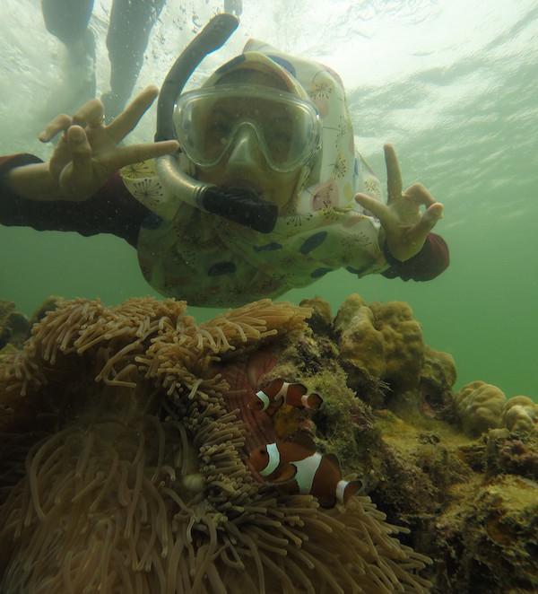 Serunya Mengejar Nemo di Objek Wisata Pulau Petong
