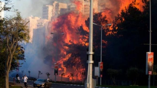  Palestina Ikut Berjibaku Padamkan Kebakaran Besar di Israel