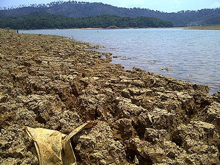 BMKG: Dampak El Nino di Kepri Sangat Kecil. Lalu Apa Penyebab Kekeringan Dam?