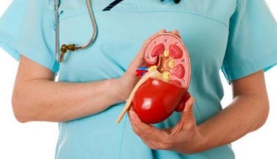6 Cara Efektif Jaga Ginjal Agar Tubuh Tetap Sehat