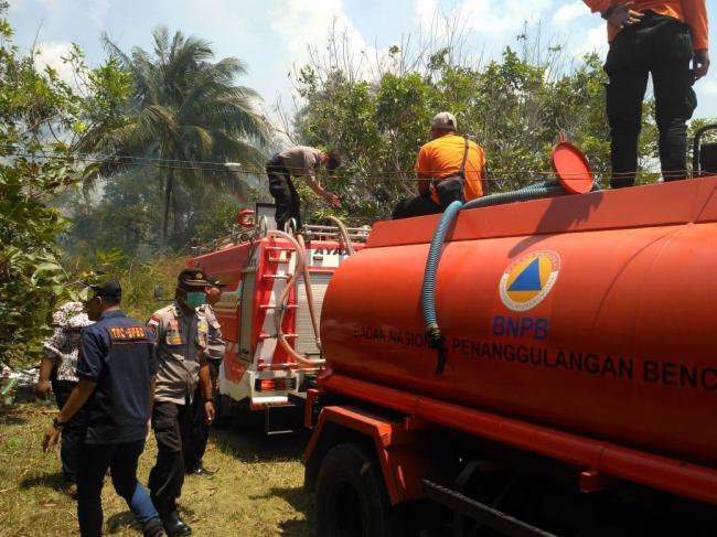 Pemadam Kewalahan Jinakkan Kebakaran Lahan di Bintan