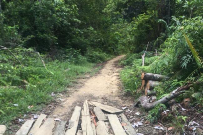 Pemkab Lingga Siapkan Rp3 Miliar Buka Akses Jalan Pancur-Tanjung Mana