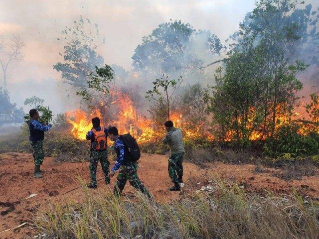 Hutan Sekitar Bandara Hang Nadim Dilalap Api, Diduga Sengaja Dibakar