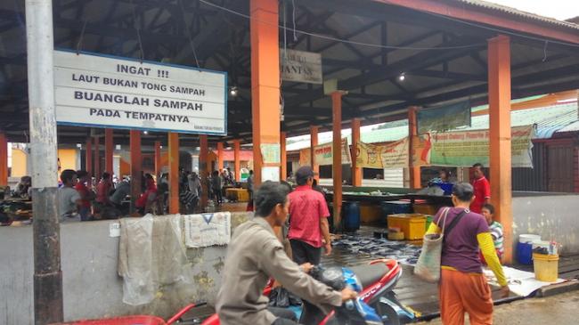 Puluhan Penyuluhan Perikanan Belum Terima Gaji dari Provinsi