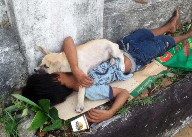 Kisah Persabahatan Bocah Rommel dan Anjing Kecilnya yang Bikin Terharu