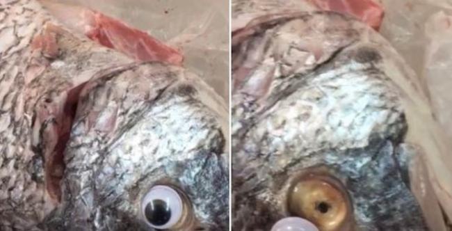 Begini Cara Penjual Ikan di Kuwait Tipu Pembeli