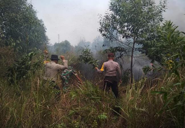 Kebakaran Lahan di Tebing Karimun Terpaksa Dipadamkan Manual
