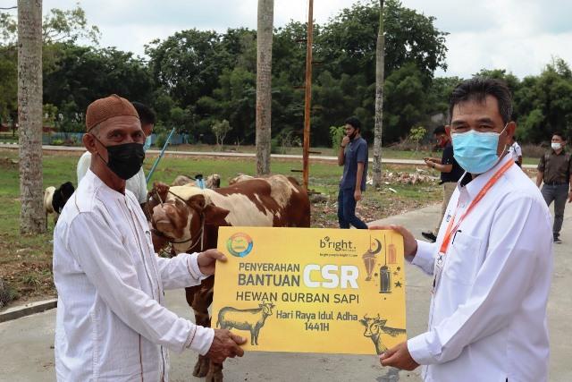 PLN Batam Salurkan Bantuan CSR 64 Ekor Hewan Kurban