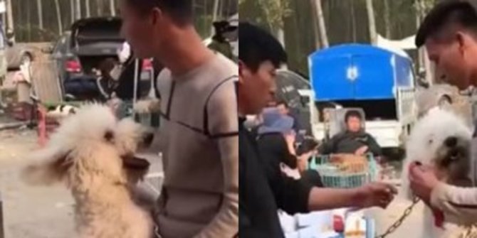 Viral Video Anjing Peluk Erat Tuannya saat Mau Dijual, Tolak Berpisah