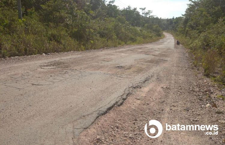 Rusak Parah, Wagub Marlin Janji Perjuangkan Jalan Trans Batubi di Natuna