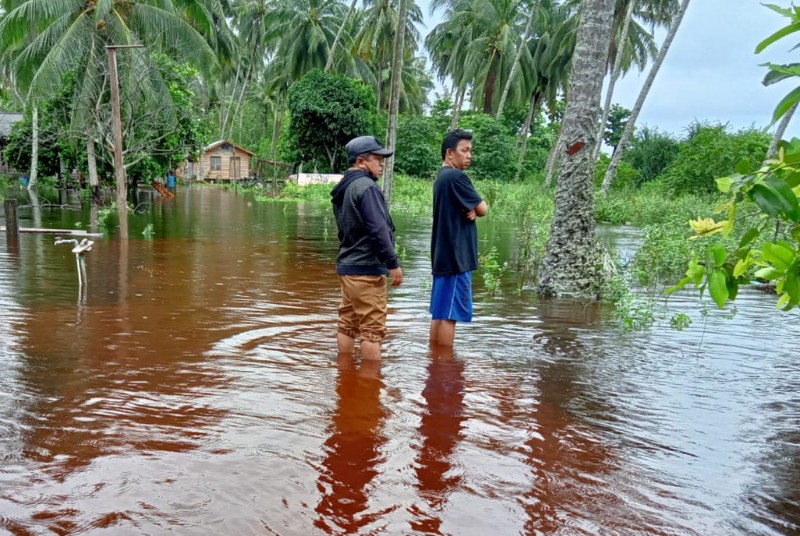 Hujan Seharian, Banjir Genangi Sejumlah Perkampungan di Desa Resang Lingga