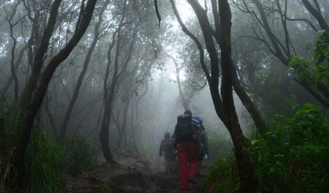 Cerita Menyeramkan Pria di Bintan Hilang 4 Hari dalam Hutan Angker