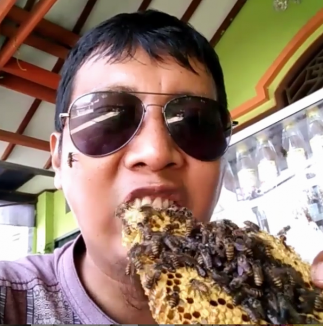 Pria Ini Lahap Madu dari Sarang yang Masih Banyak Lebahnya