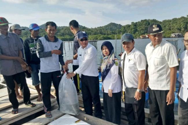 DKP Lingga Salurkan 7000 Bibit Ikan Kakap ke Warga Pulau Teban