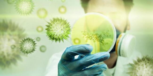 Awas! 525 Orang di Jepang Terinfeksi Virus Pemakan Daging Mematikan