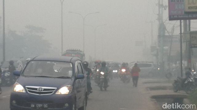 Kejaksaan Minta MA Penjarakan Bos PT NSP, Pelaku Pembakaran Hutan di Riau