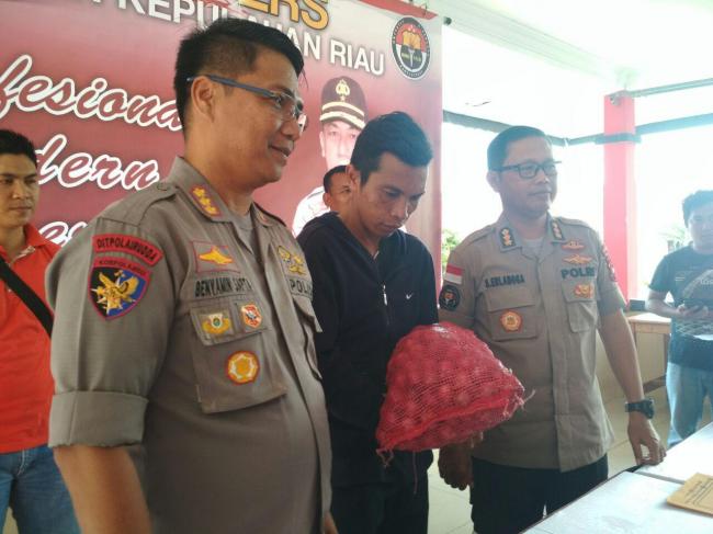 Polisi Sita 1.300 Karung Bawang India Selundupan Dari Malaysia