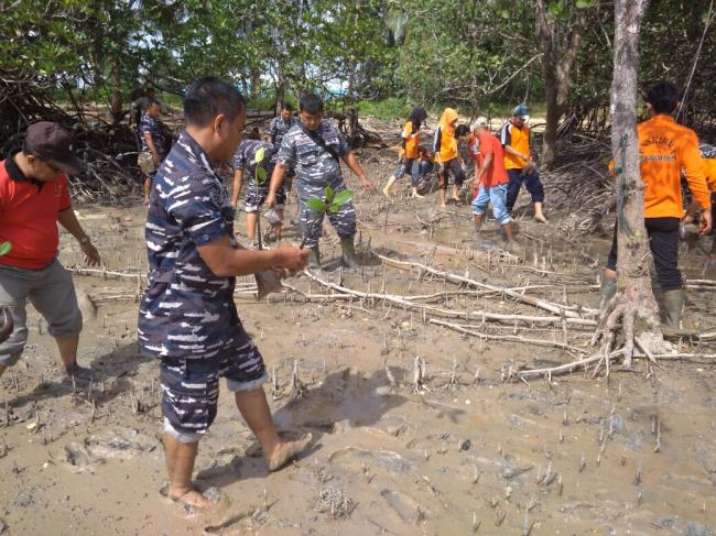 TNI AL Tanam 2.000 Bibit Bakau di Lingga