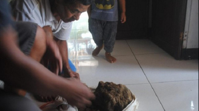 Penemuan Harta Karun di Pematang Sawah Bikin Geger