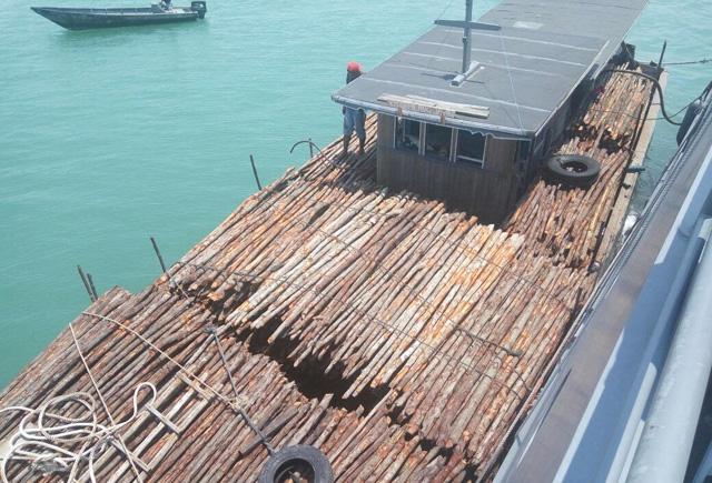 Hutan Mangrove Karimun Terancam Punah Dijual ke Singapura