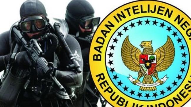 BIN Disindir Intel Melayu 