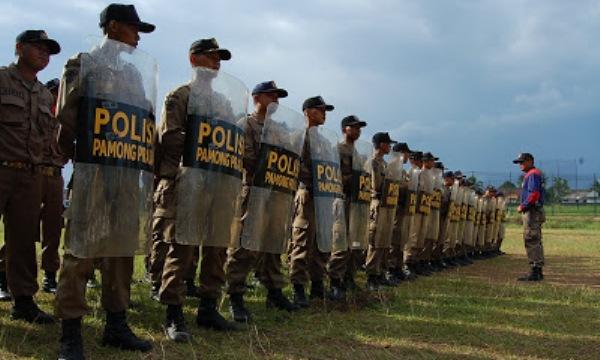 Nurdin Basirun Libatkan Satpol PP Jaga Pilkada